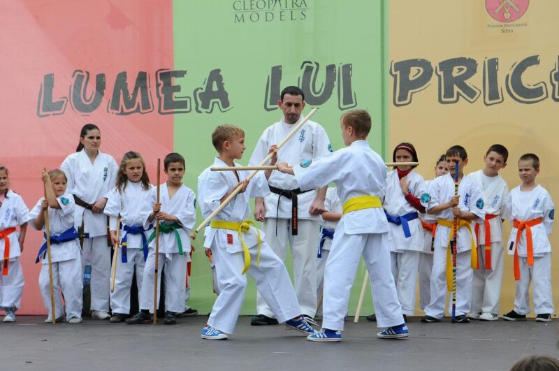 Kids karate classes