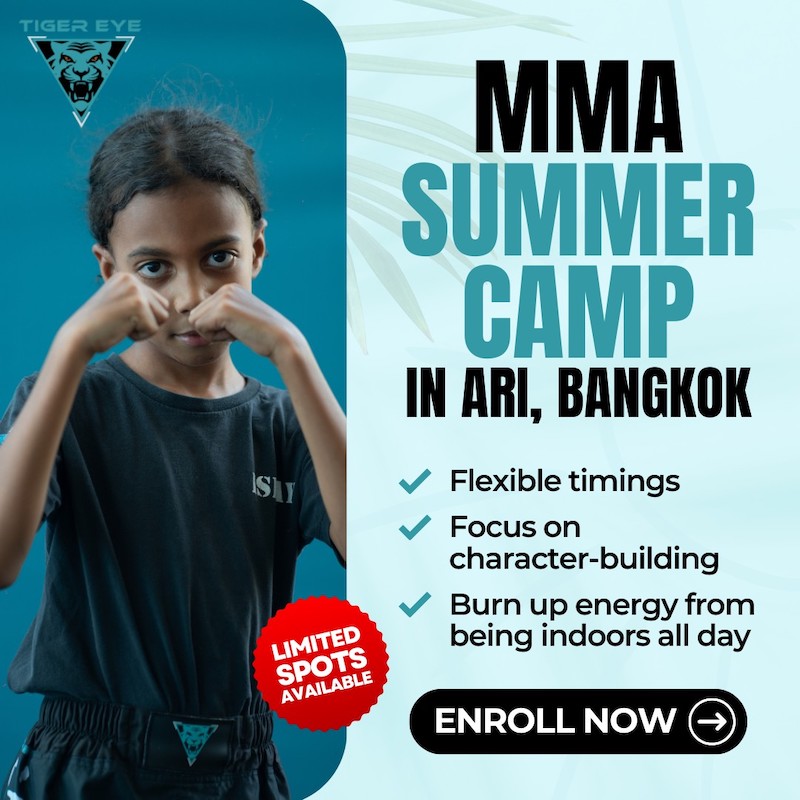 Tiger Eye Martial Arts - MMA Summer Camp