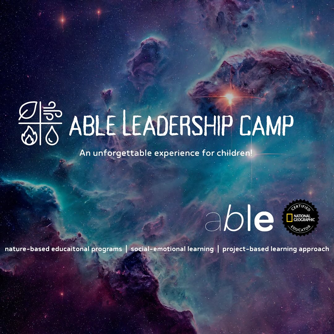 Able to Regenerate leadership cam flyer