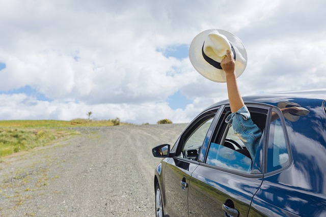 woman holding her hat out of a car window