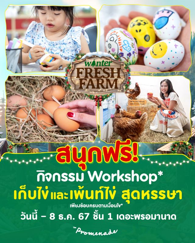 Fashionisland & The Promenade - Egg Collecting and Egg Painting Workshop